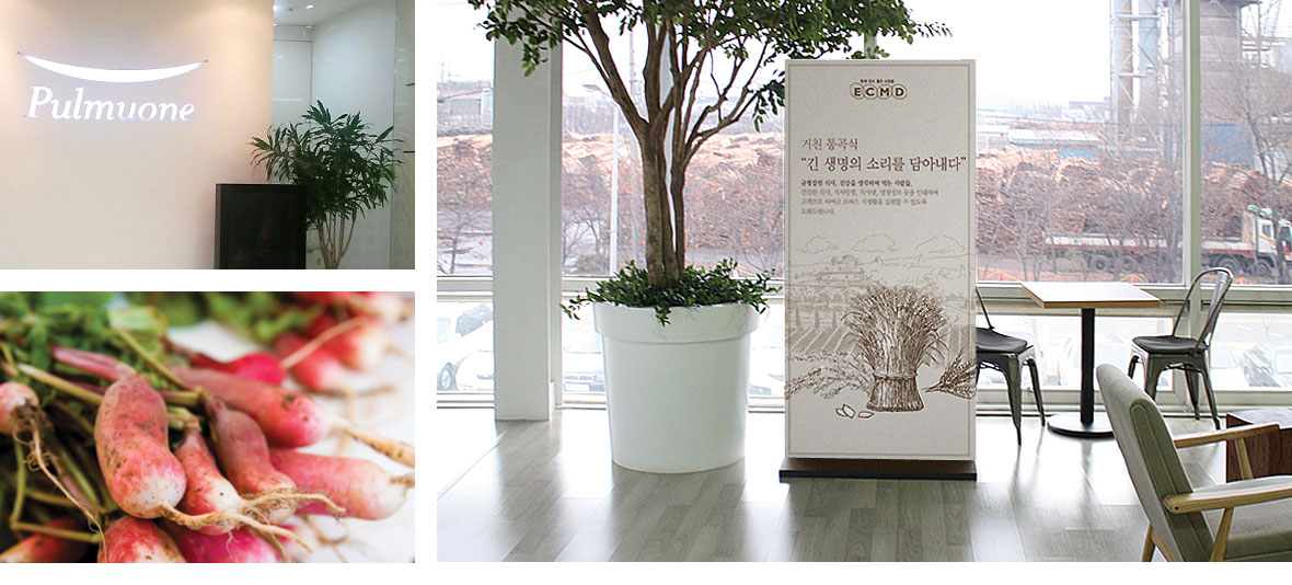 Pulmuone ECMD institutional meal visual identity
